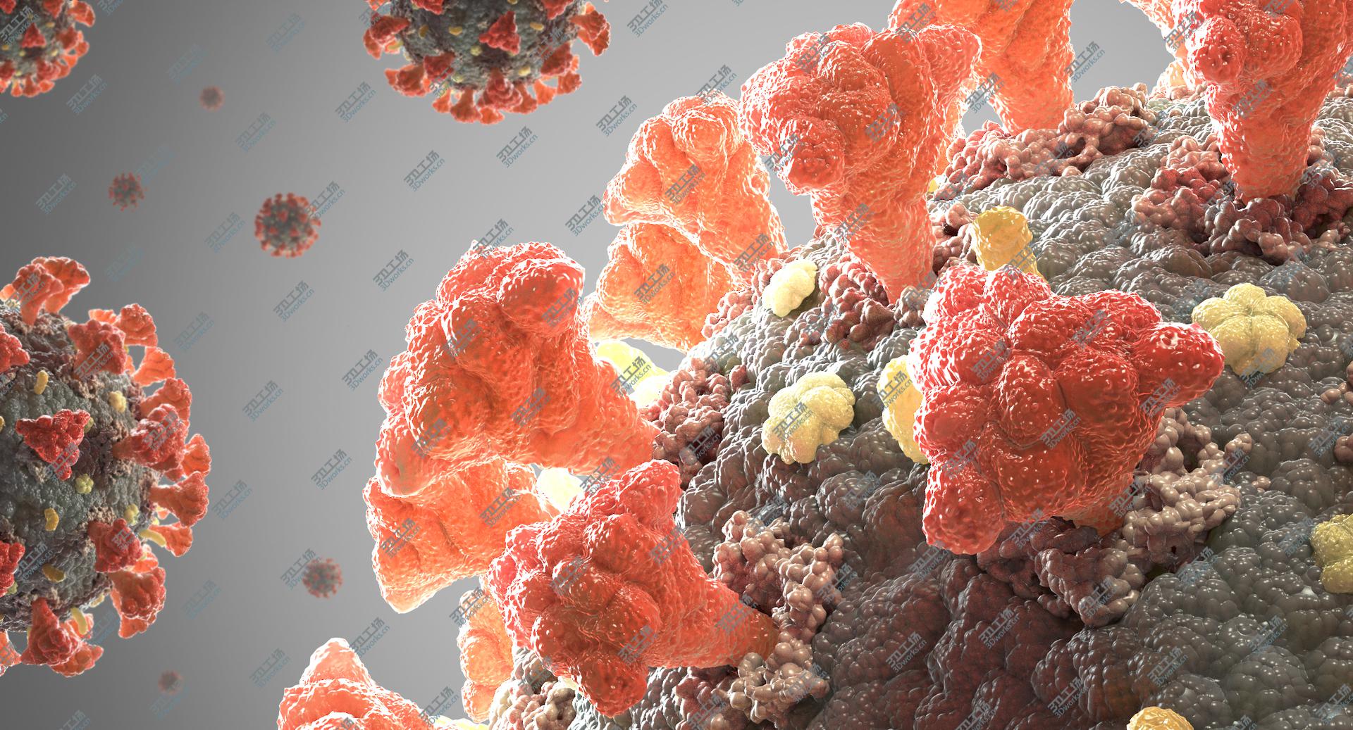 images/goods_img/202105071/3D Coronavirus 02 model/5.jpg